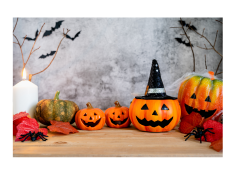 🎃Podzimní tvořivé dílny🍂